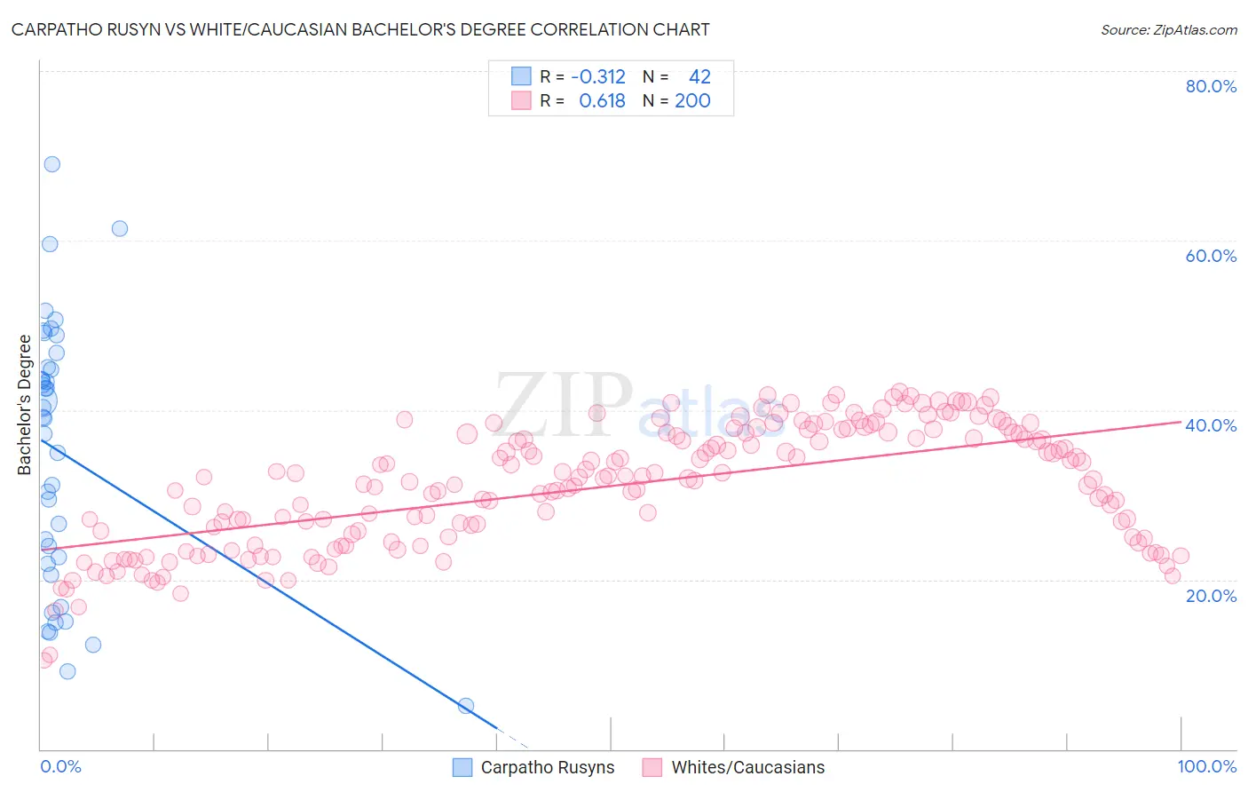 Carpatho Rusyn vs White/Caucasian Bachelor's Degree