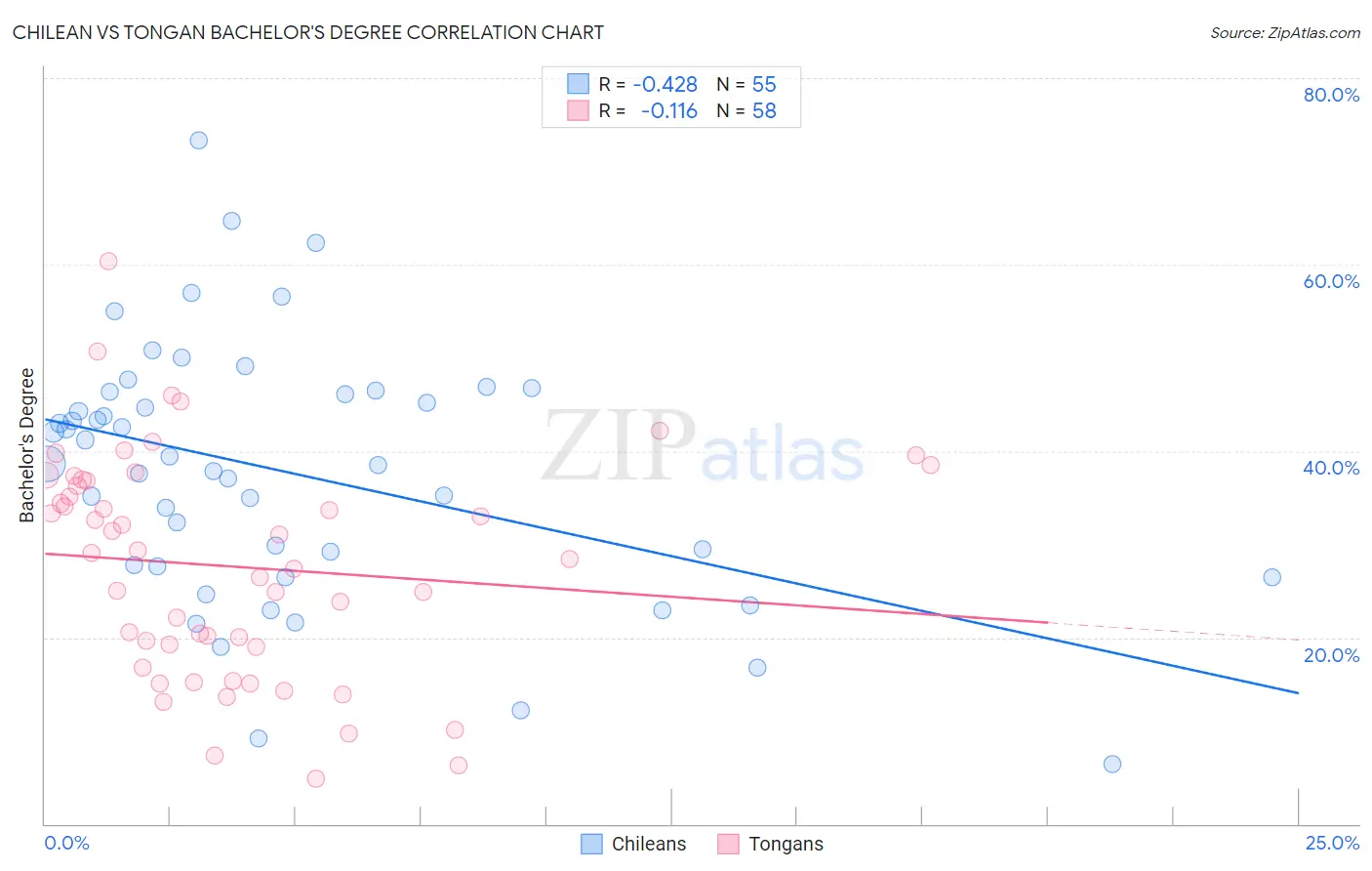 Chilean vs Tongan Bachelor's Degree