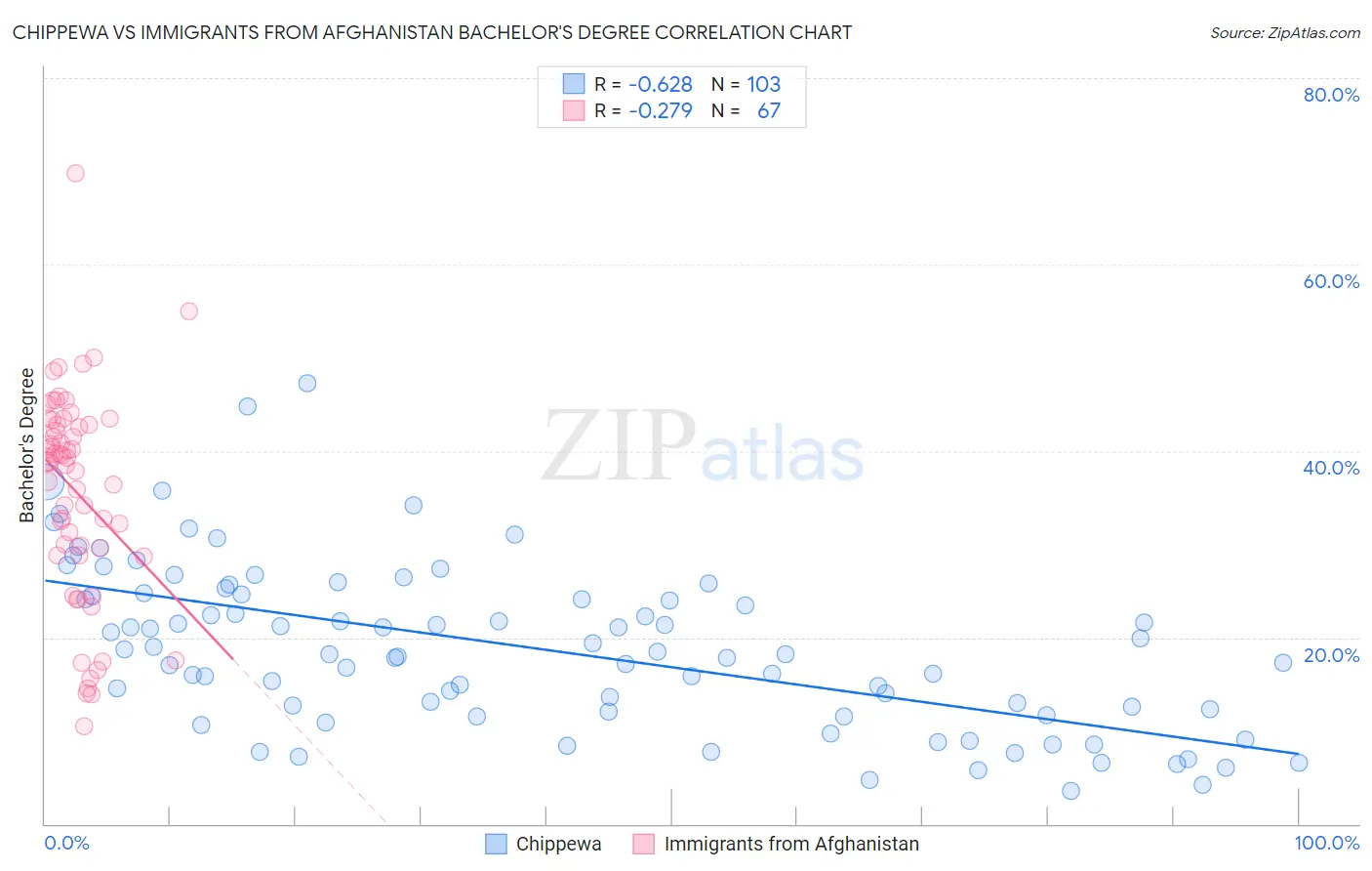 Chippewa vs Immigrants from Afghanistan Bachelor's Degree