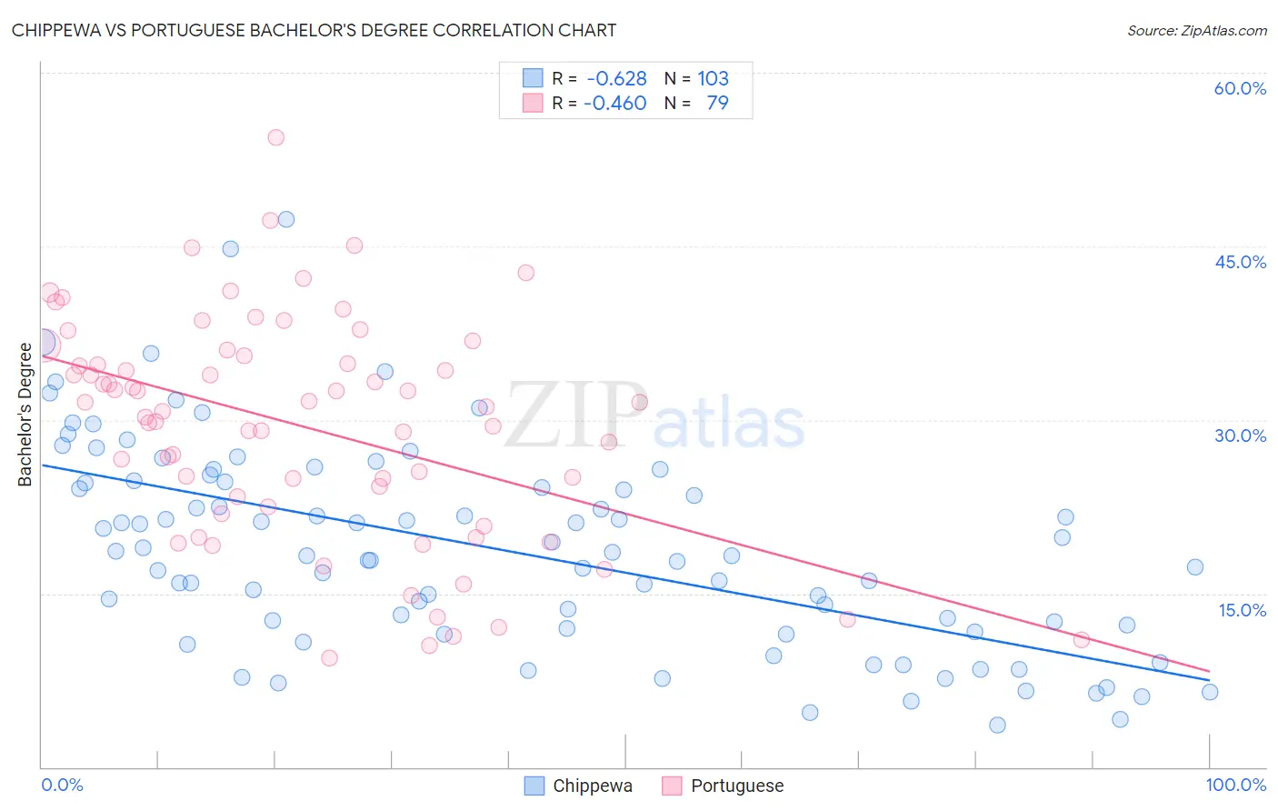 Chippewa vs Portuguese Bachelor's Degree