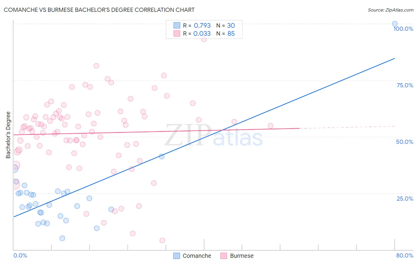 Comanche vs Burmese Bachelor's Degree