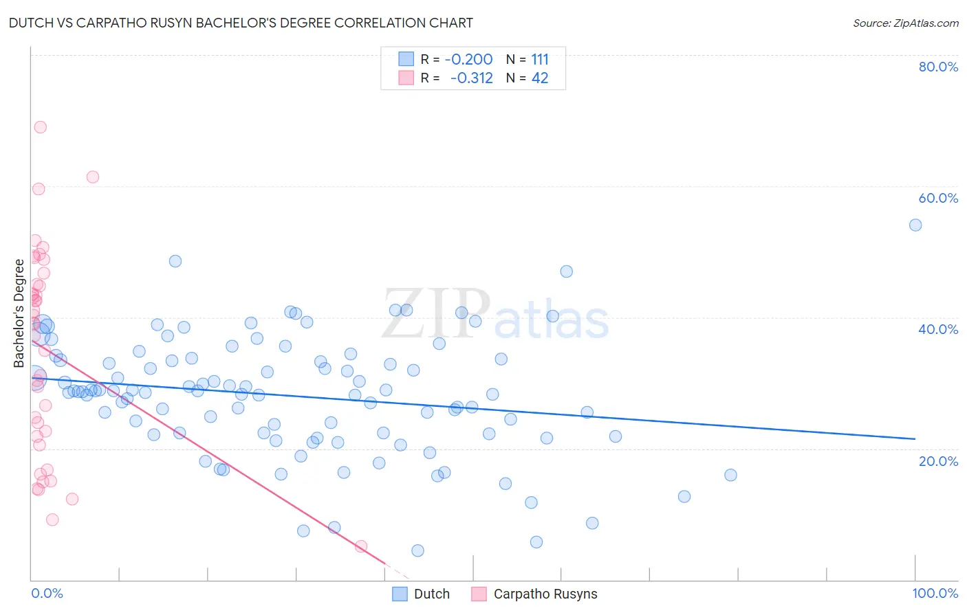 Dutch vs Carpatho Rusyn Bachelor's Degree