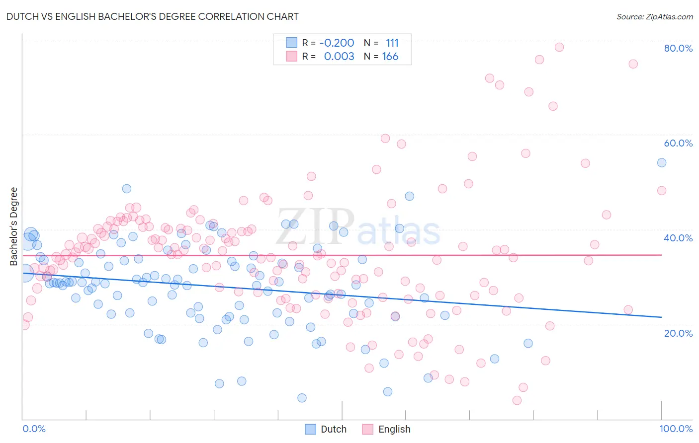 Dutch vs English Bachelor's Degree