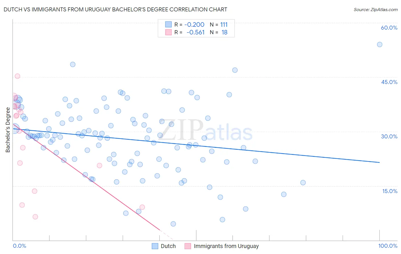 Dutch vs Immigrants from Uruguay Bachelor's Degree