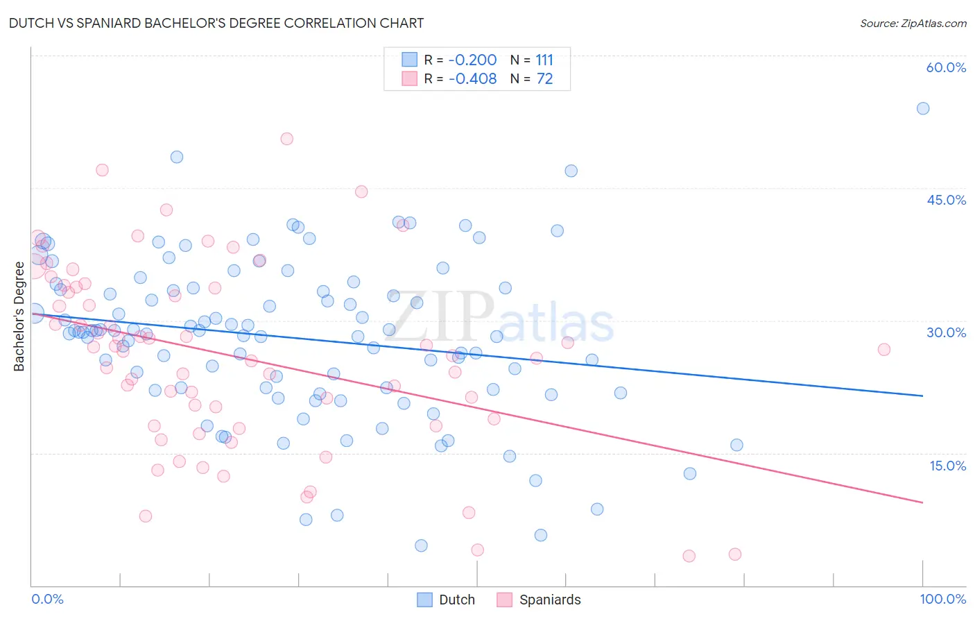 Dutch vs Spaniard Bachelor's Degree