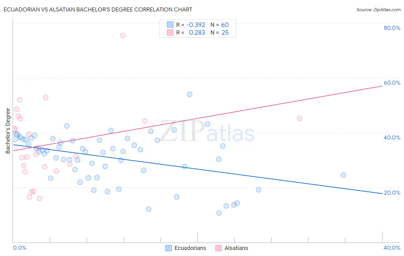 Ecuadorian vs Alsatian Bachelor's Degree