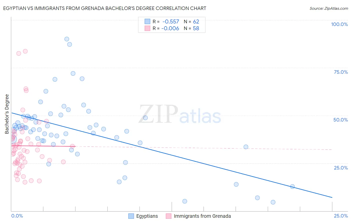 Egyptian vs Immigrants from Grenada Bachelor's Degree