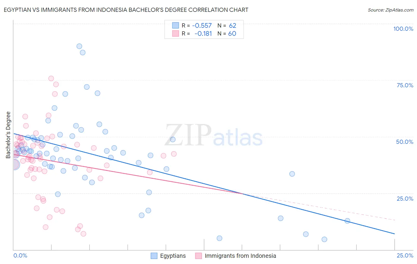 Egyptian vs Immigrants from Indonesia Bachelor's Degree