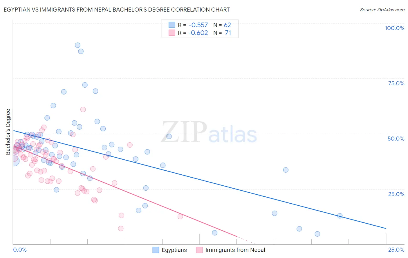 Egyptian vs Immigrants from Nepal Bachelor's Degree