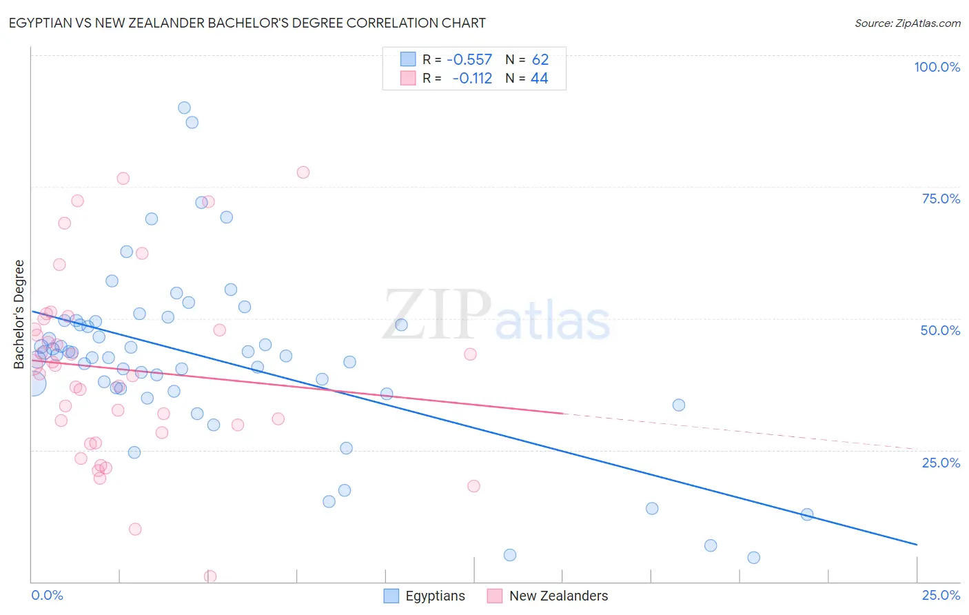 Egyptian vs New Zealander Bachelor's Degree