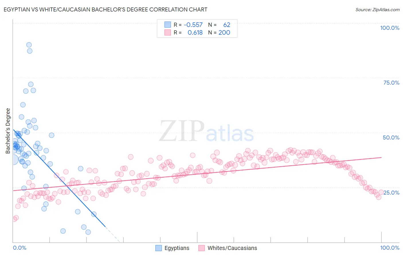 Egyptian vs White/Caucasian Bachelor's Degree