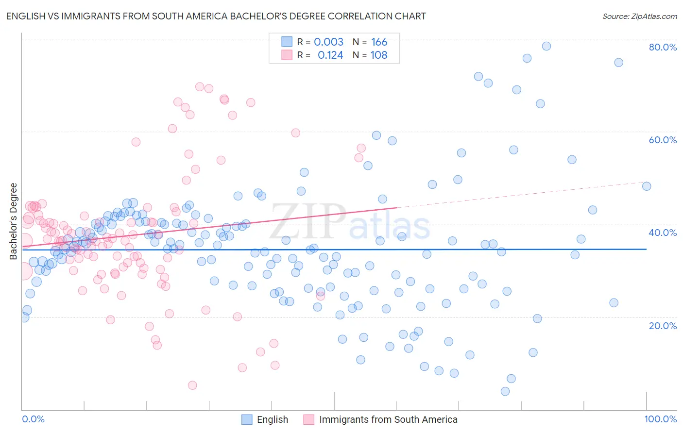 English vs Immigrants from South America Bachelor's Degree