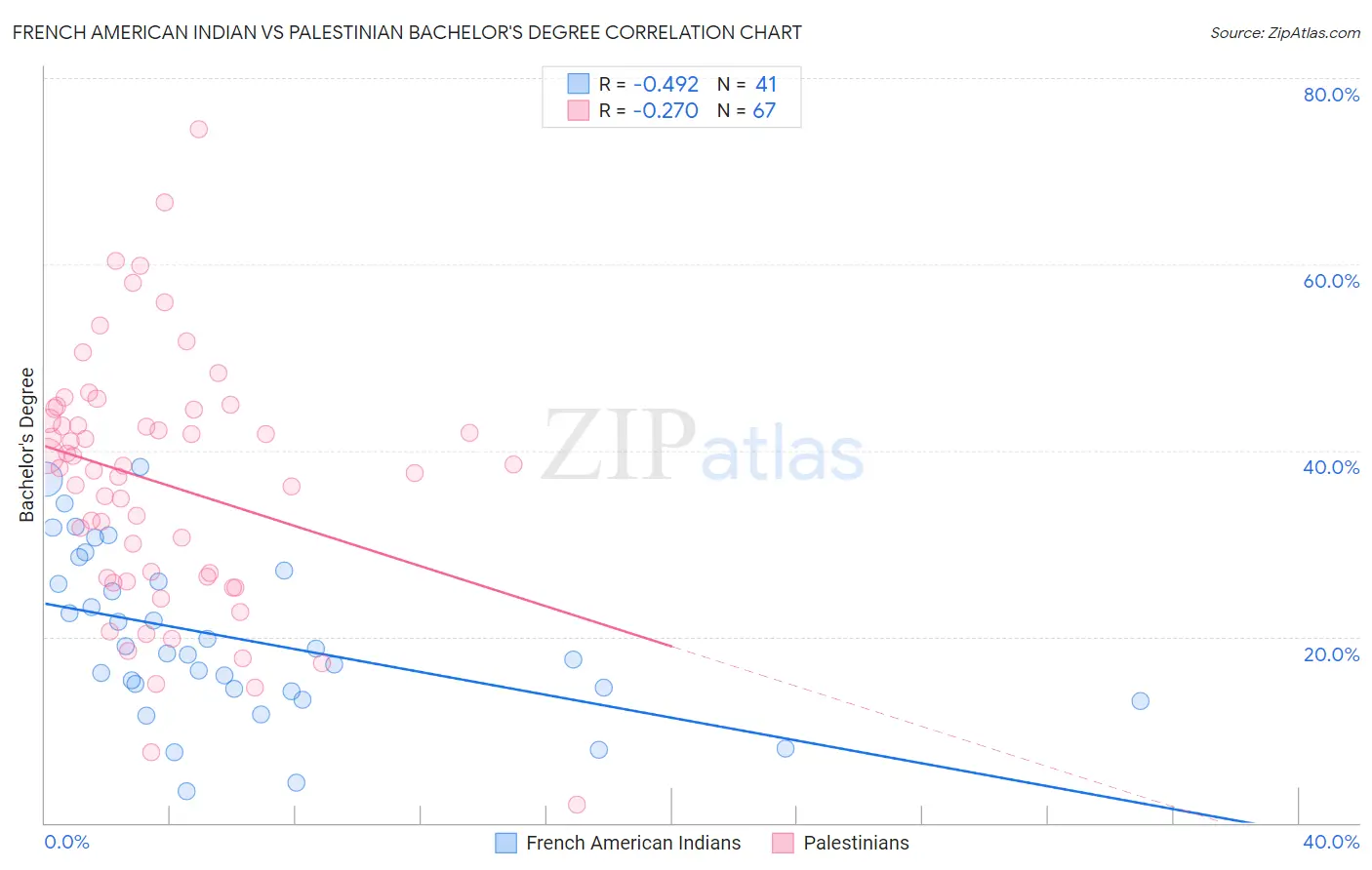 French American Indian vs Palestinian Bachelor's Degree