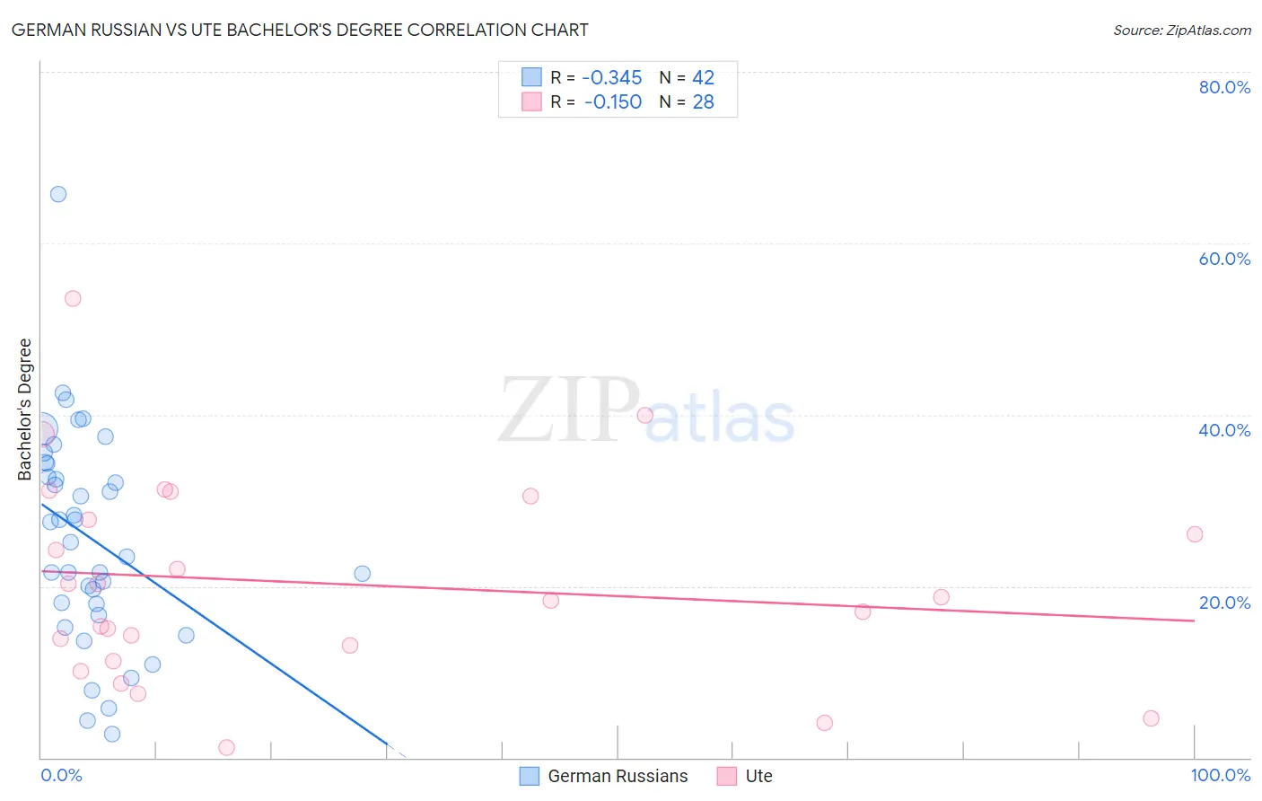 German Russian vs Ute Bachelor's Degree