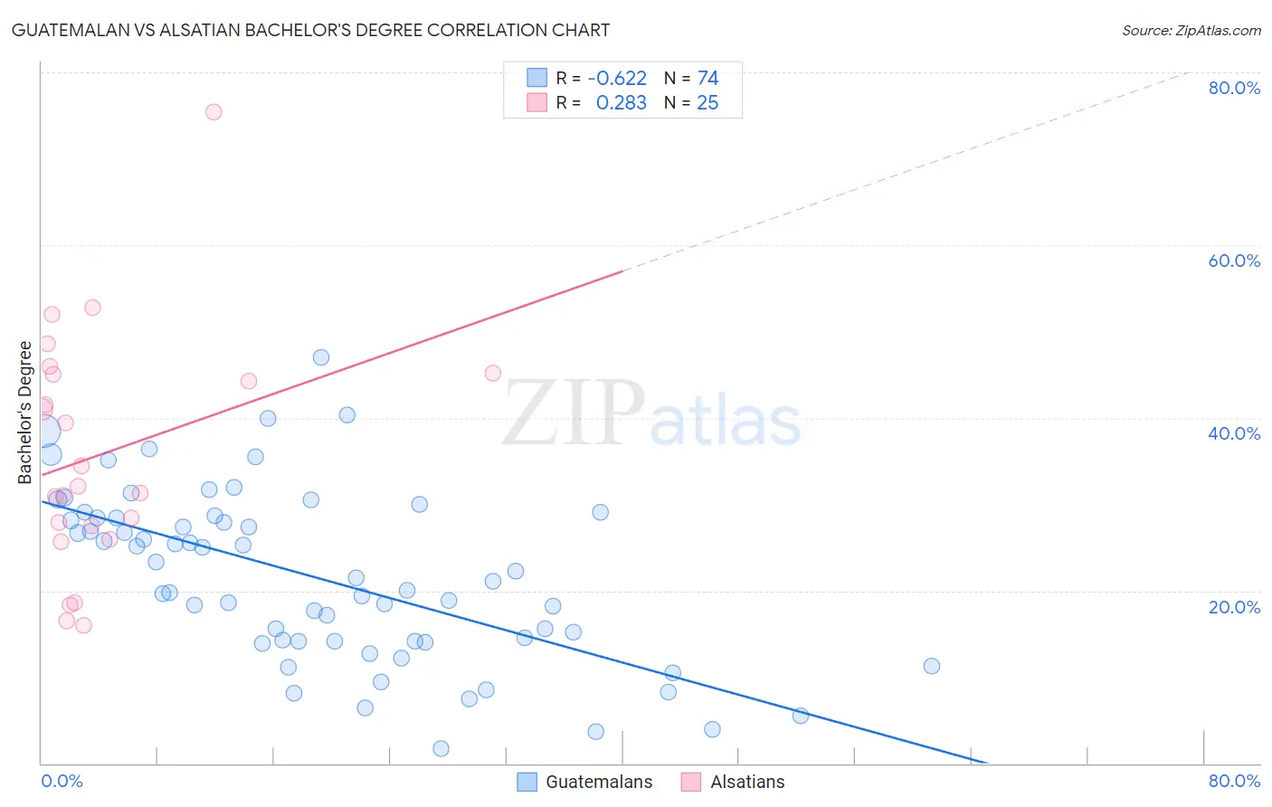 Guatemalan vs Alsatian Bachelor's Degree