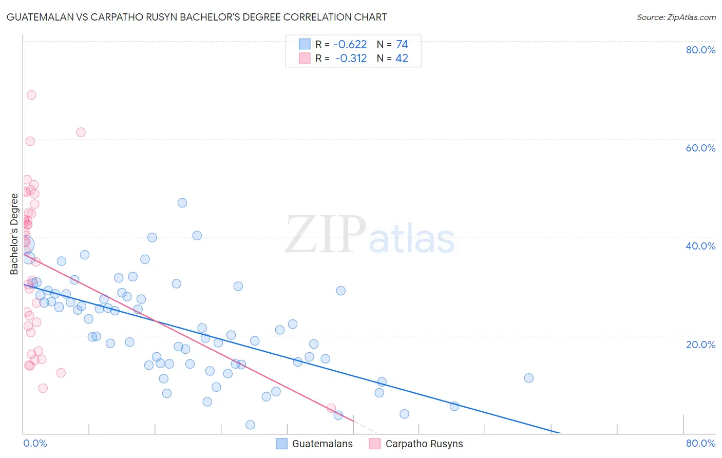 Guatemalan vs Carpatho Rusyn Bachelor's Degree