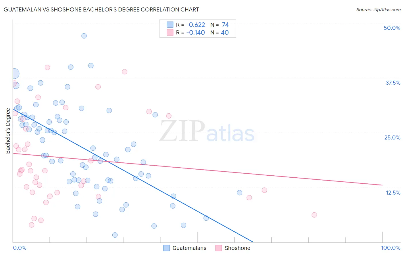 Guatemalan vs Shoshone Bachelor's Degree