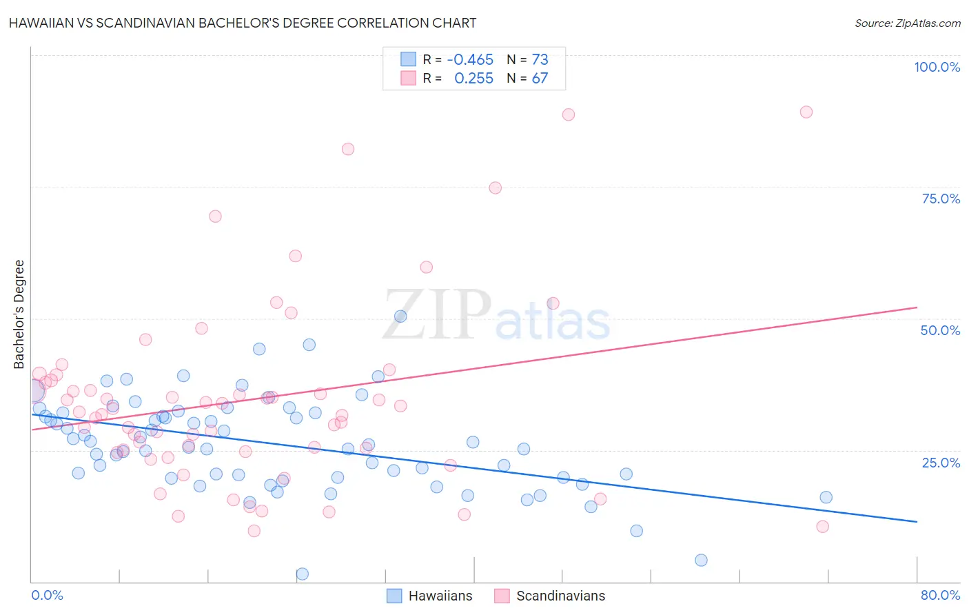 Hawaiian vs Scandinavian Bachelor's Degree