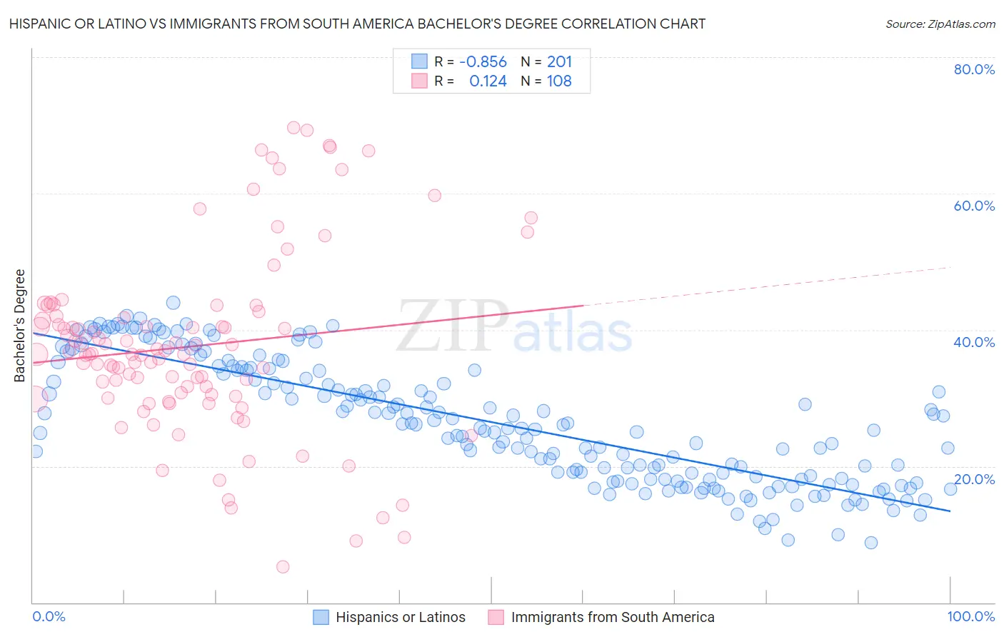 Hispanic or Latino vs Immigrants from South America Bachelor's Degree