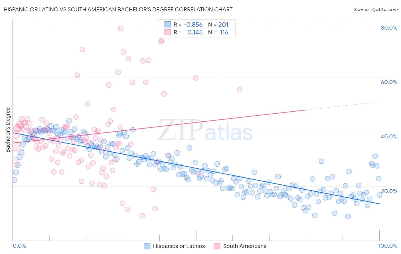 Hispanic or Latino vs South American Bachelor's Degree