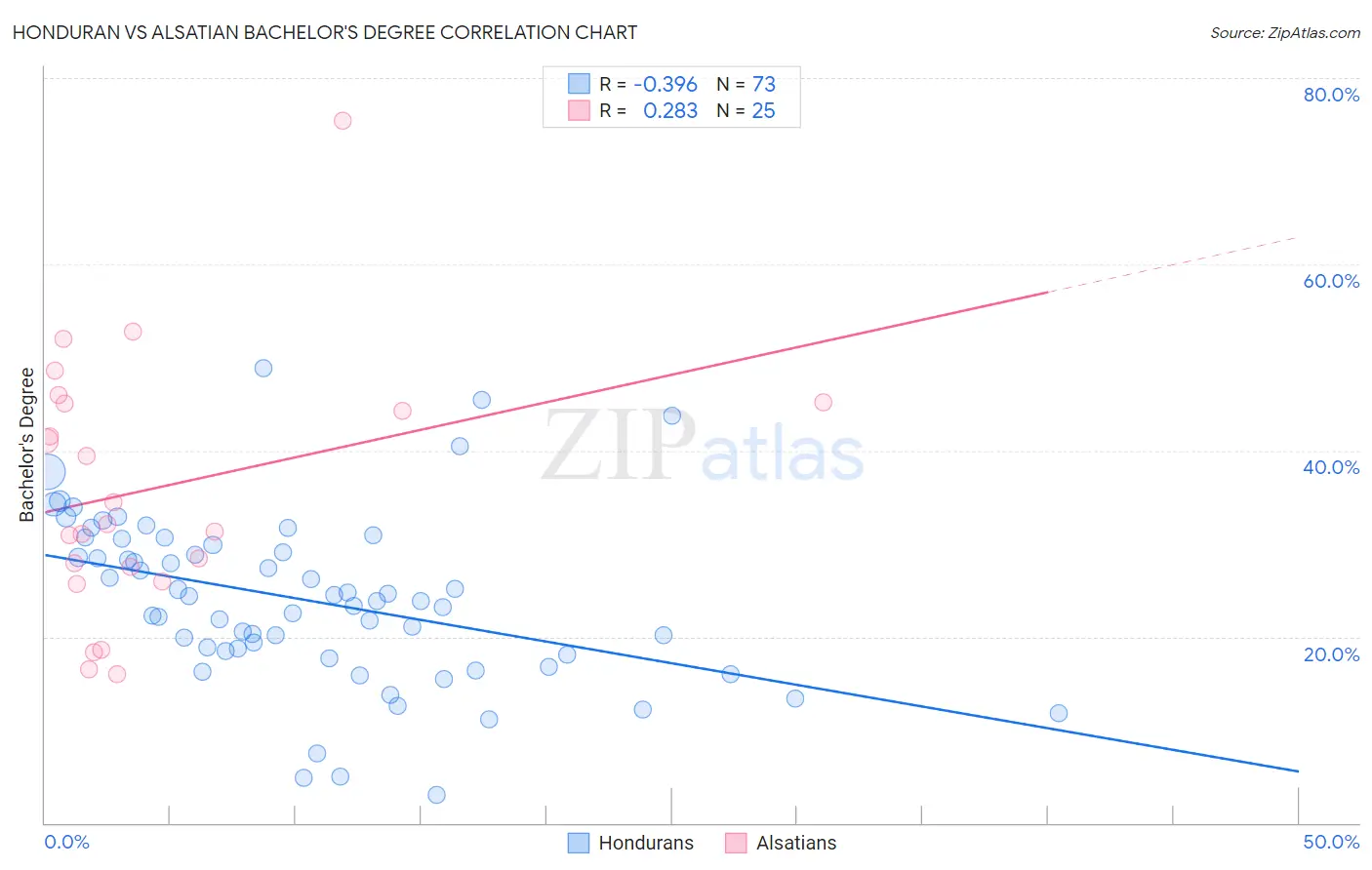 Honduran vs Alsatian Bachelor's Degree