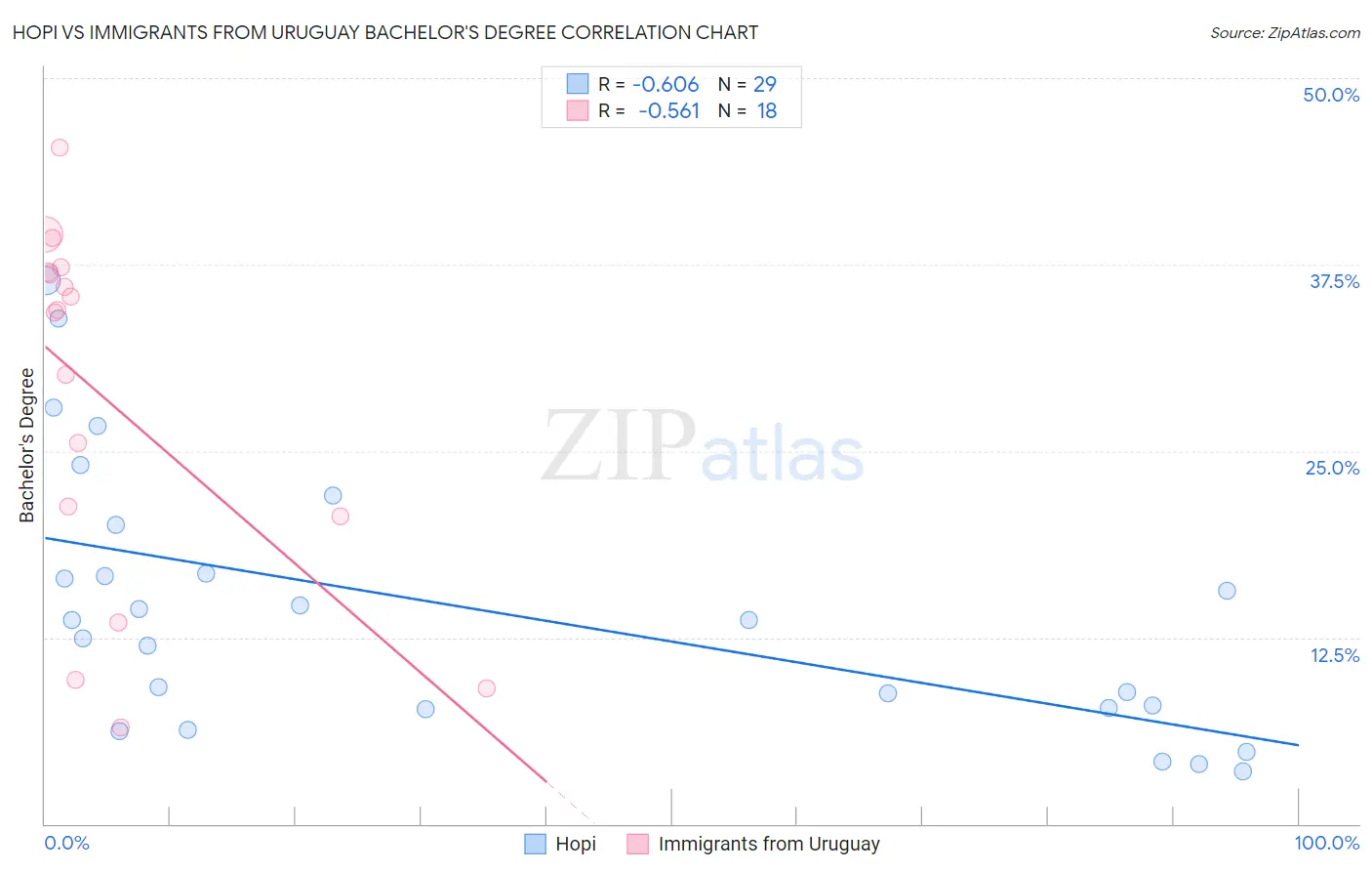 Hopi vs Immigrants from Uruguay Bachelor's Degree