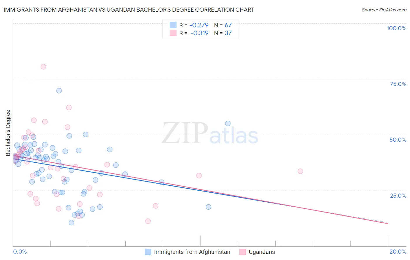Immigrants from Afghanistan vs Ugandan Bachelor's Degree