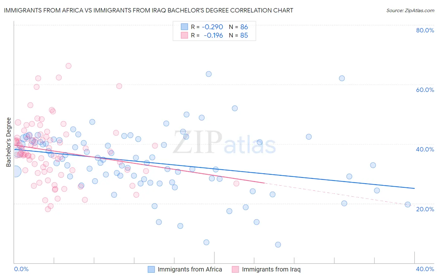 Immigrants from Africa vs Immigrants from Iraq Bachelor's Degree