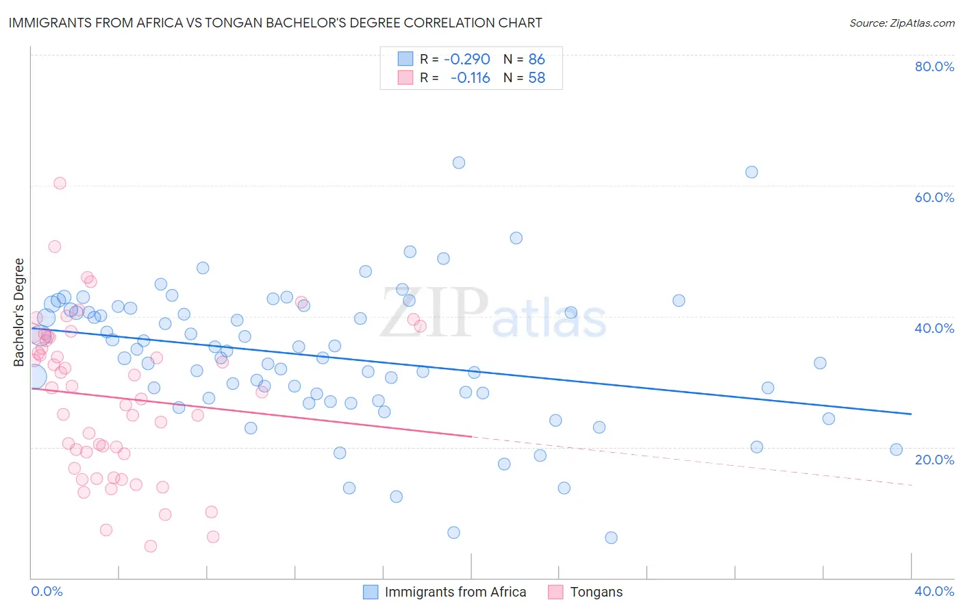 Immigrants from Africa vs Tongan Bachelor's Degree