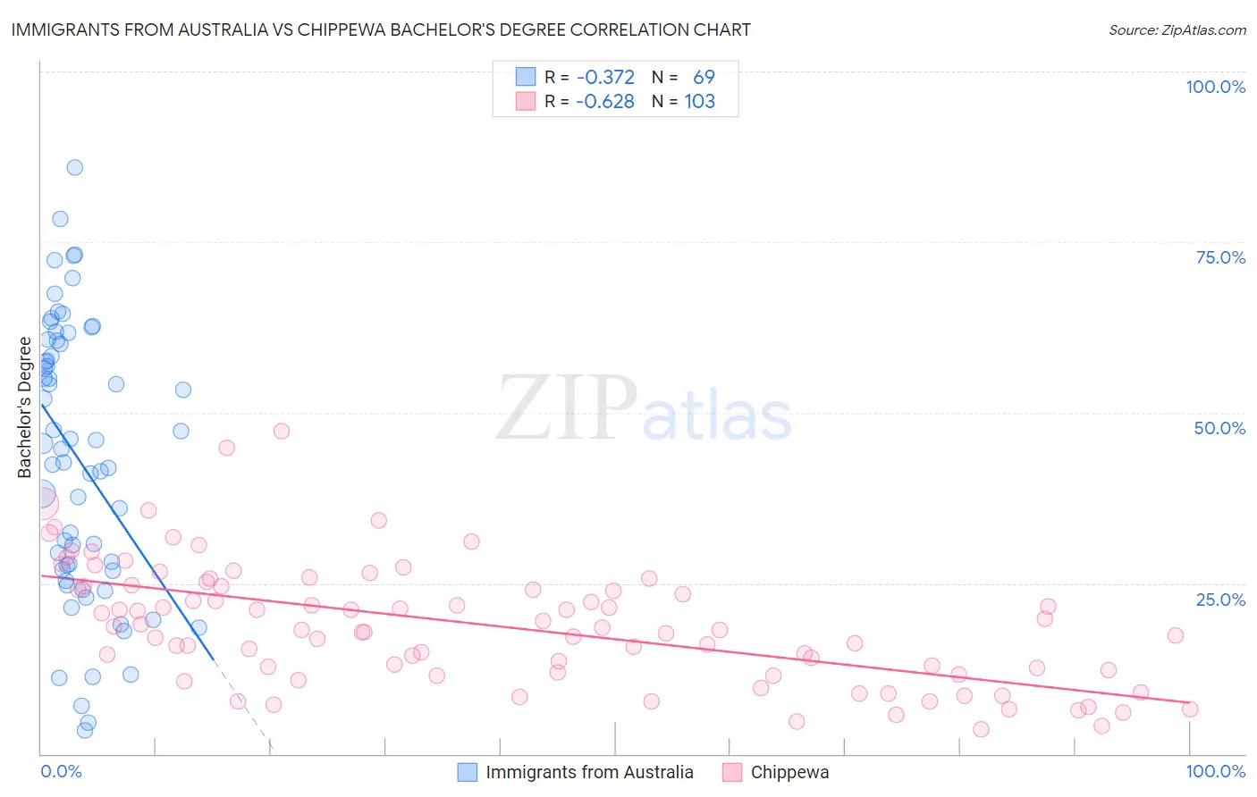 Immigrants from Australia vs Chippewa Bachelor's Degree