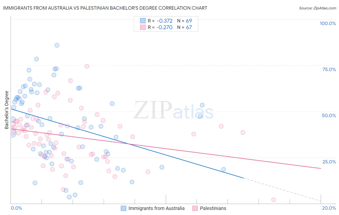 Immigrants from Australia vs Palestinian Bachelor's Degree