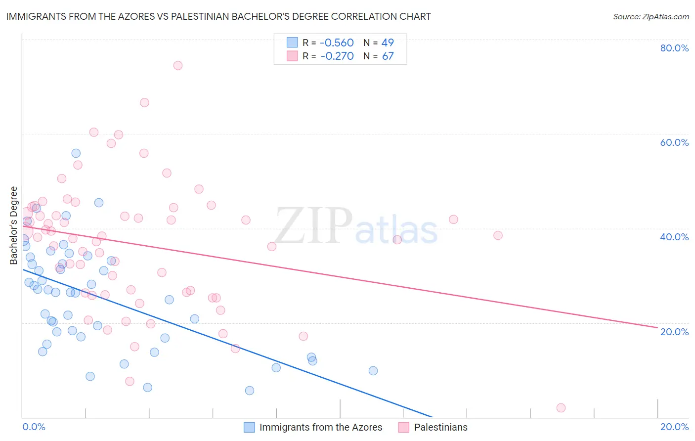 Immigrants from the Azores vs Palestinian Bachelor's Degree