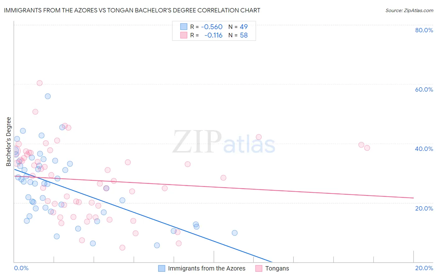 Immigrants from the Azores vs Tongan Bachelor's Degree