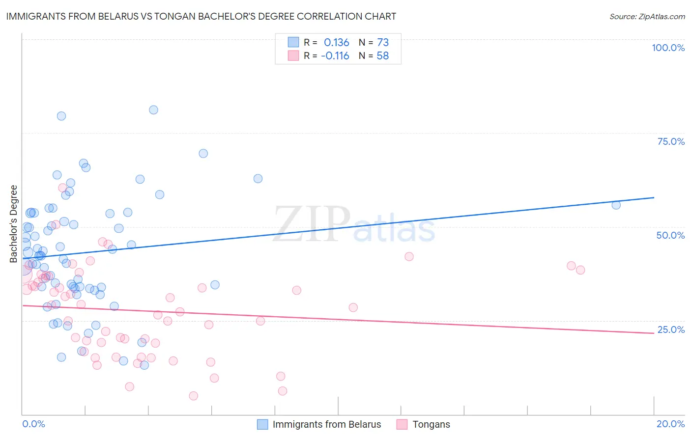 Immigrants from Belarus vs Tongan Bachelor's Degree