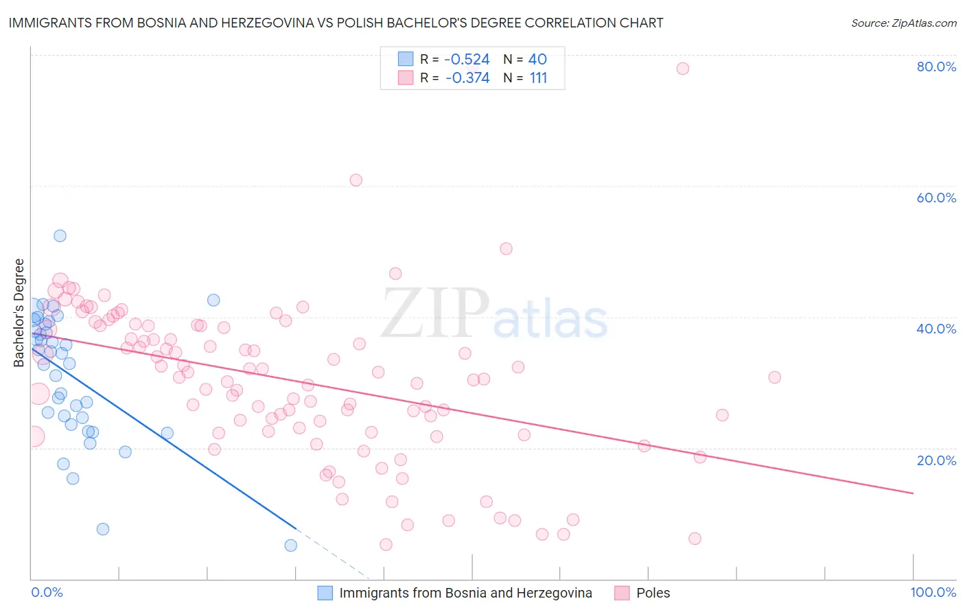 Immigrants from Bosnia and Herzegovina vs Polish Bachelor's Degree