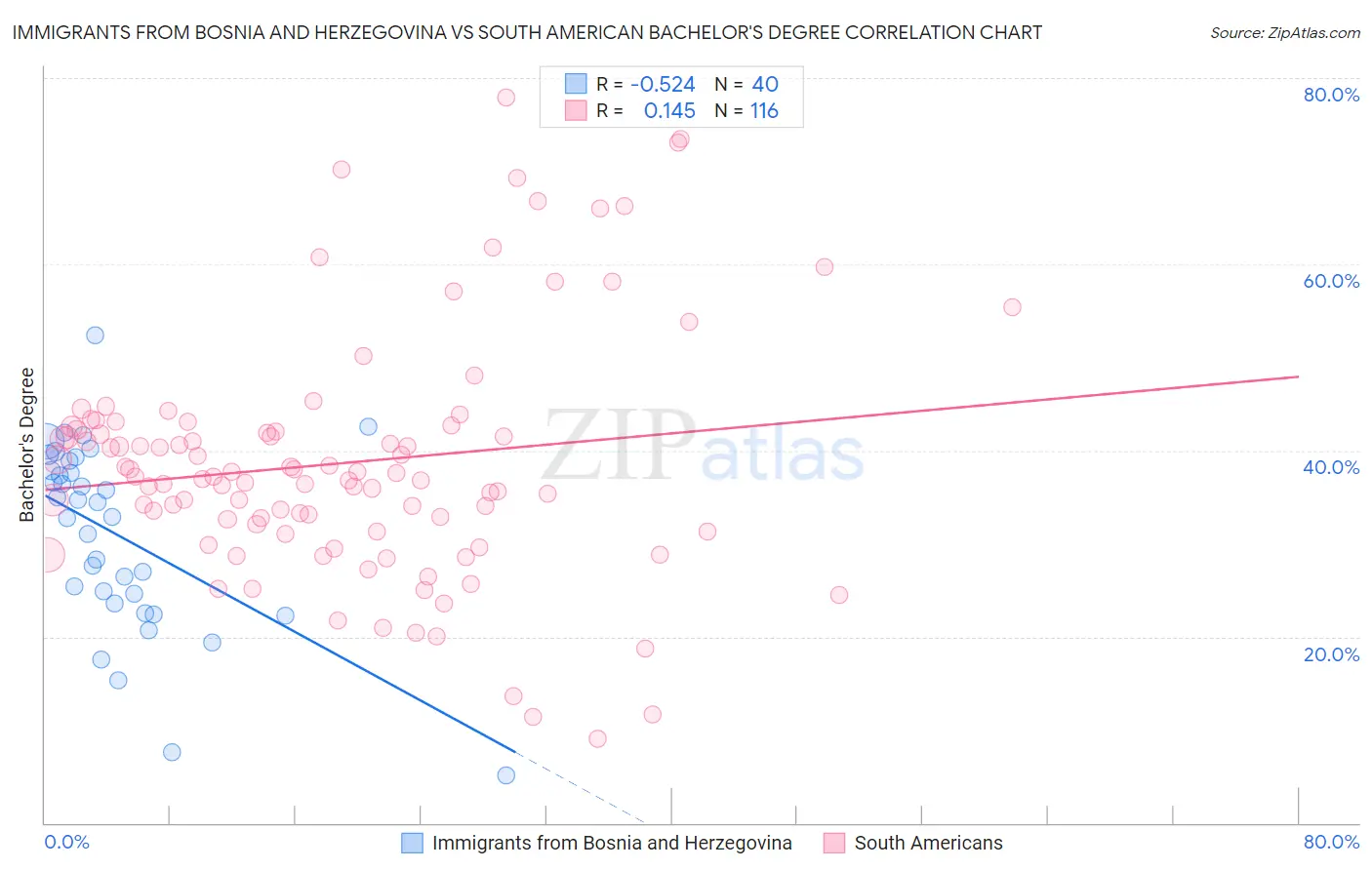 Immigrants from Bosnia and Herzegovina vs South American Bachelor's Degree