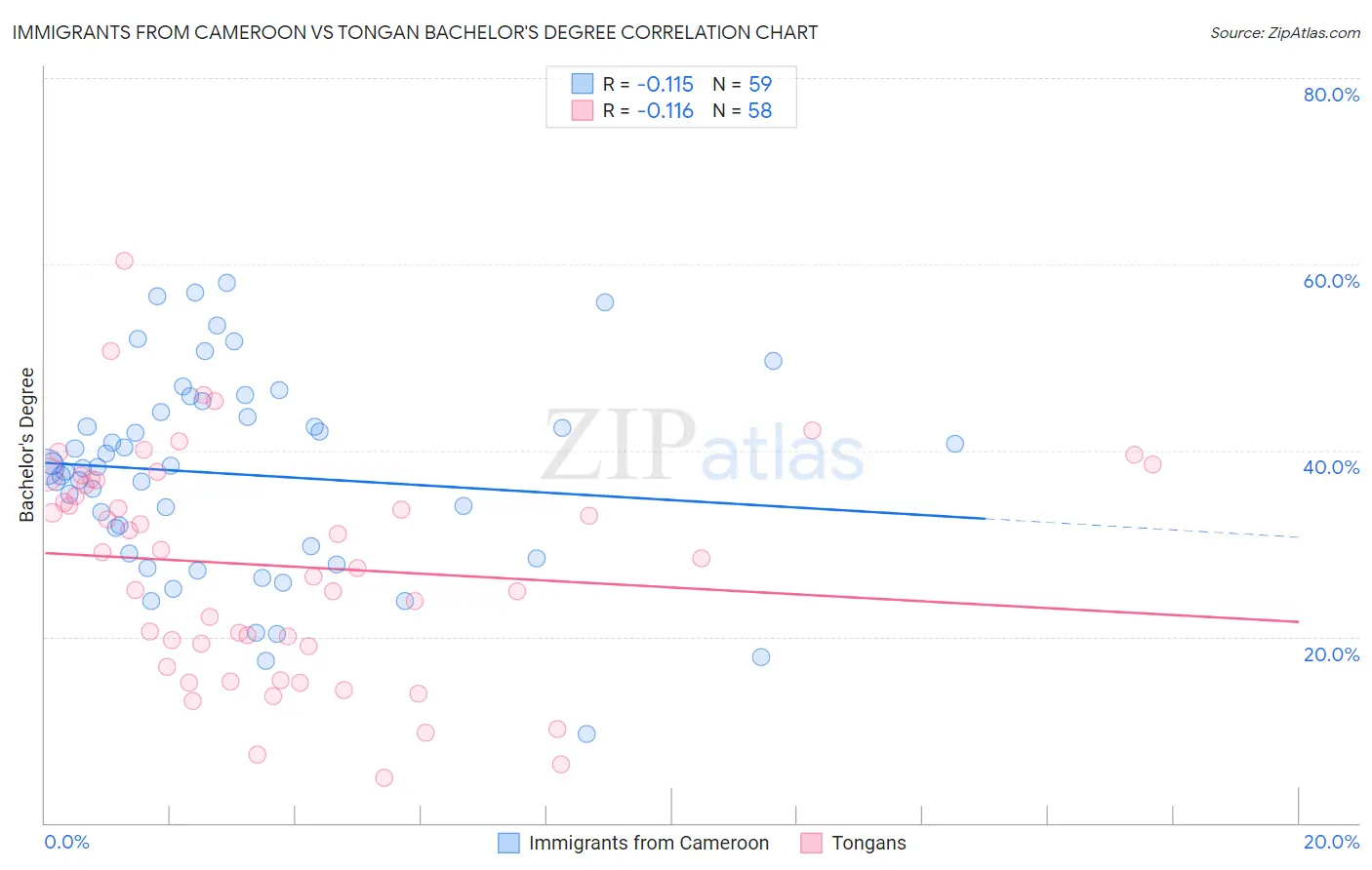 Immigrants from Cameroon vs Tongan Bachelor's Degree