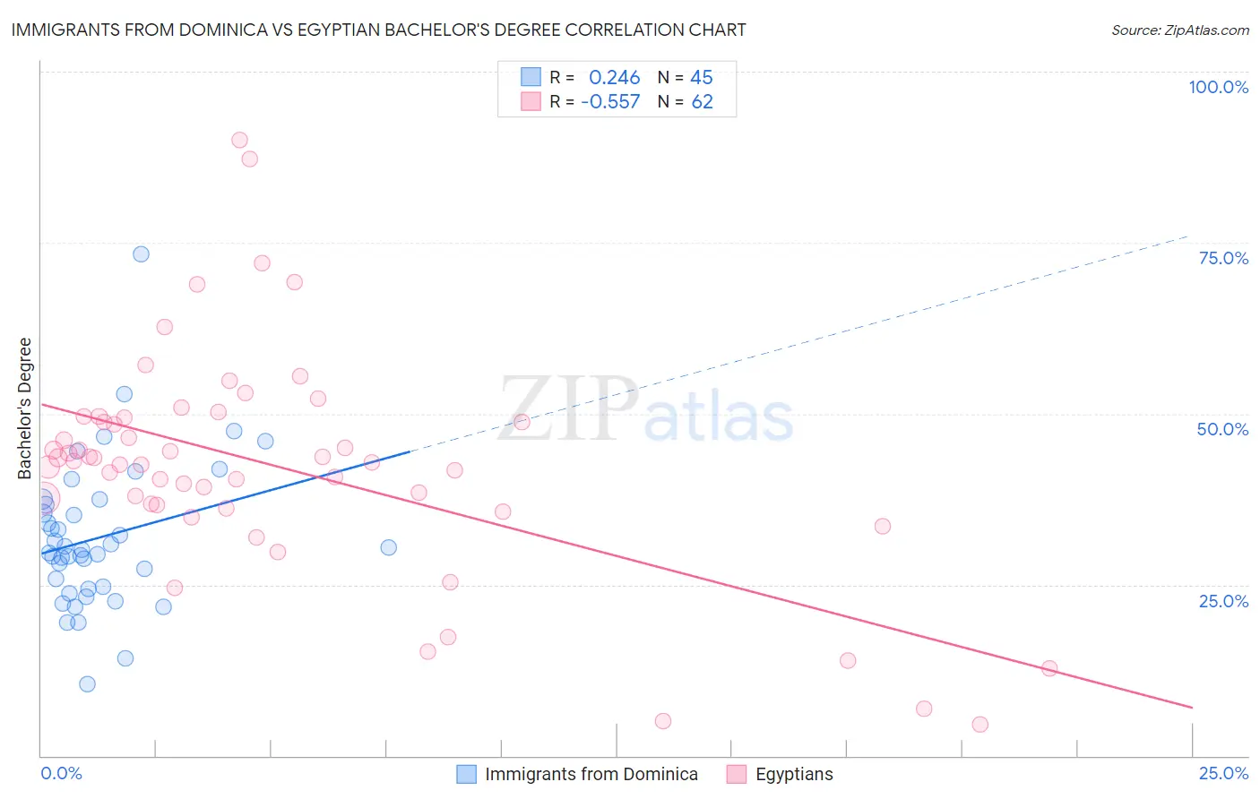 Immigrants from Dominica vs Egyptian Bachelor's Degree