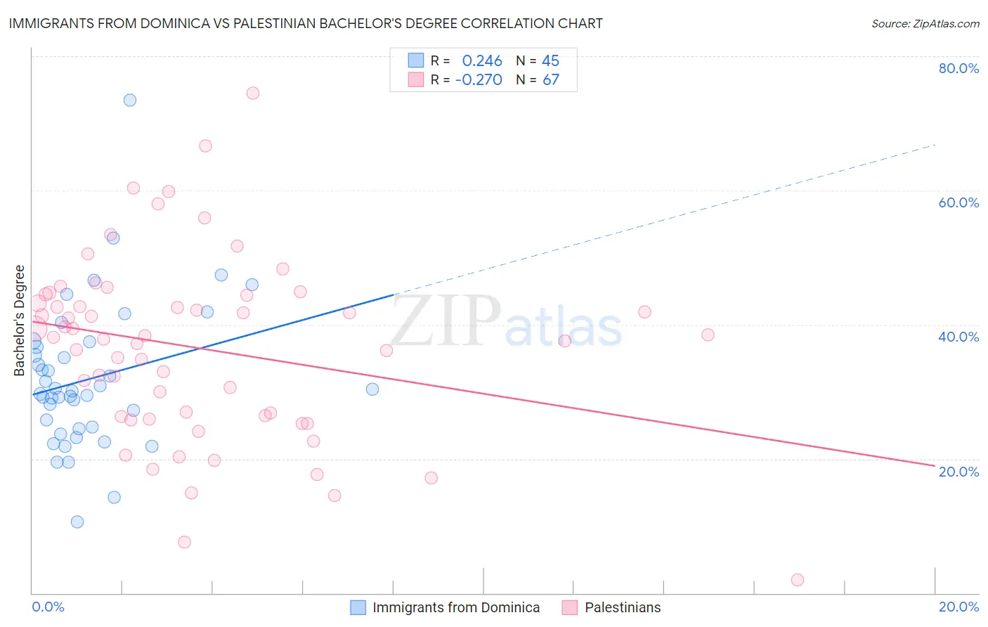 Immigrants from Dominica vs Palestinian Bachelor's Degree