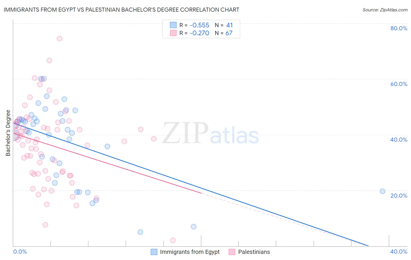 Immigrants from Egypt vs Palestinian Bachelor's Degree