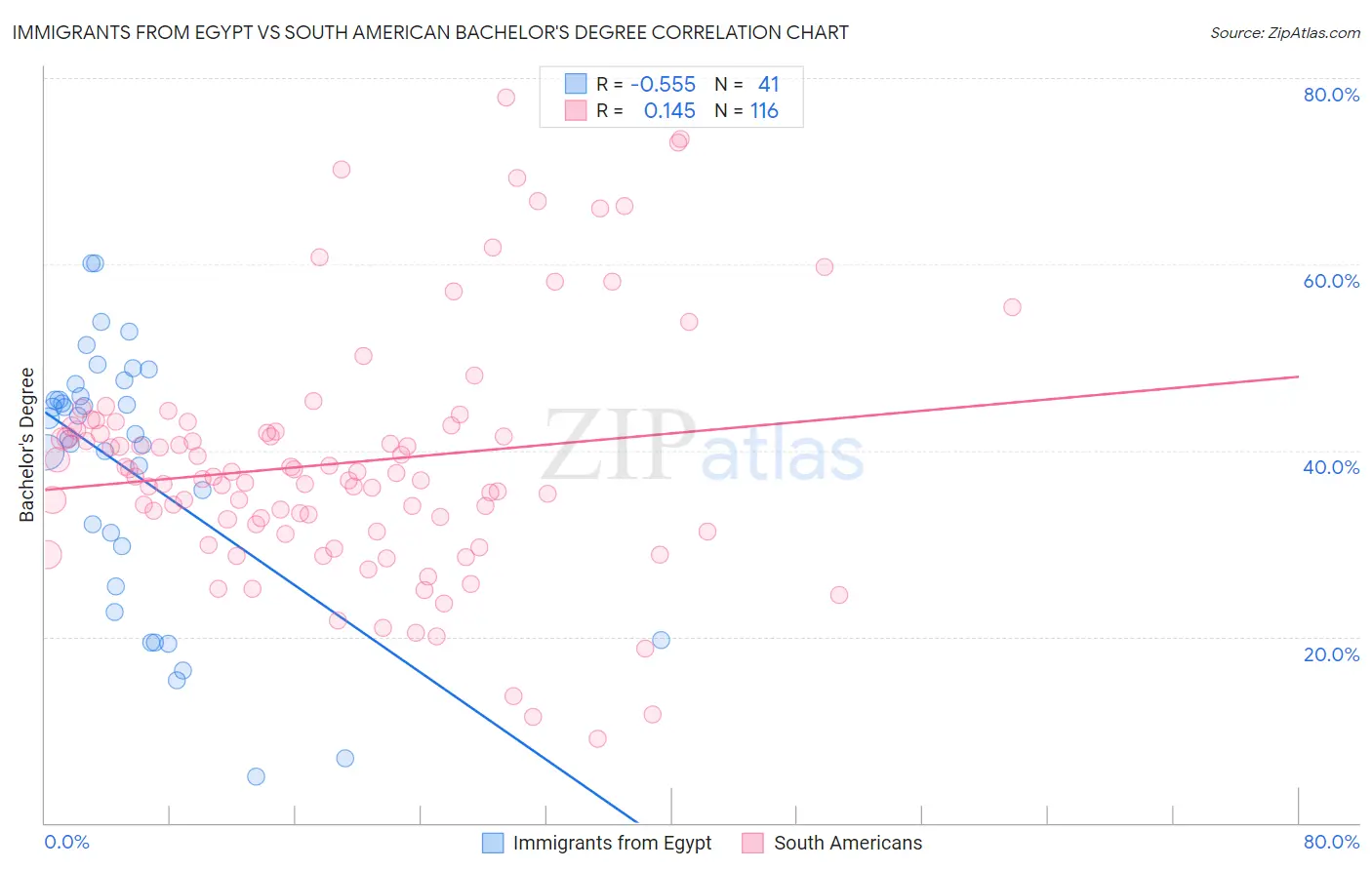 Immigrants from Egypt vs South American Bachelor's Degree