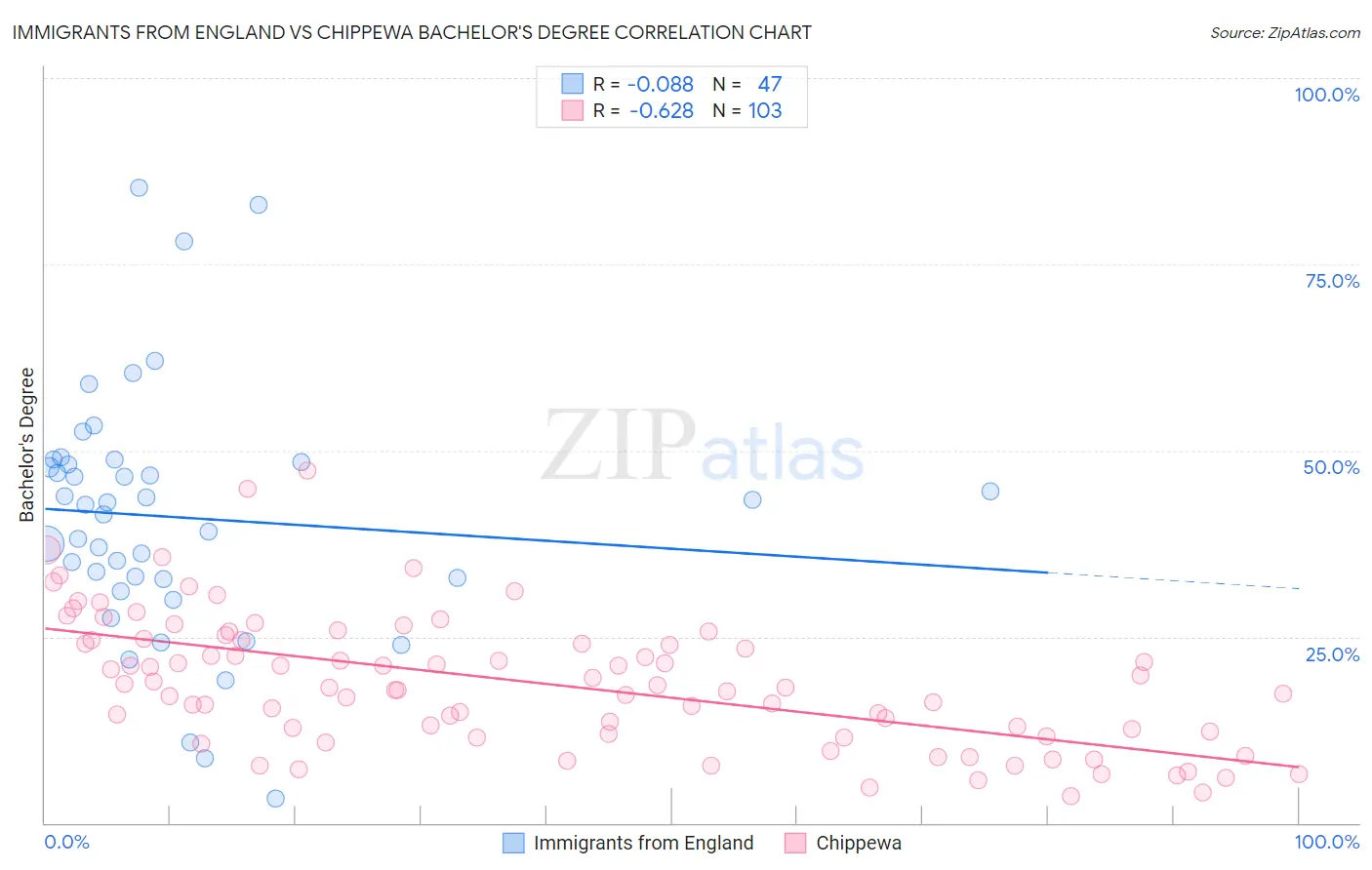 Immigrants from England vs Chippewa Bachelor's Degree