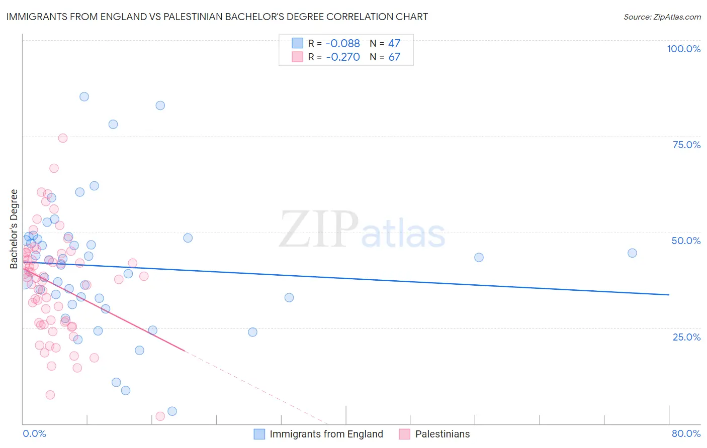 Immigrants from England vs Palestinian Bachelor's Degree
