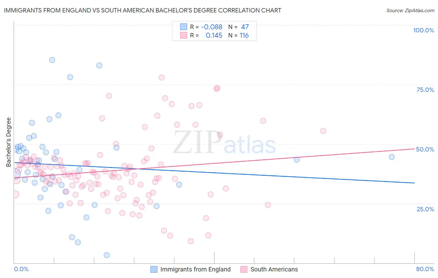 Immigrants from England vs South American Bachelor's Degree