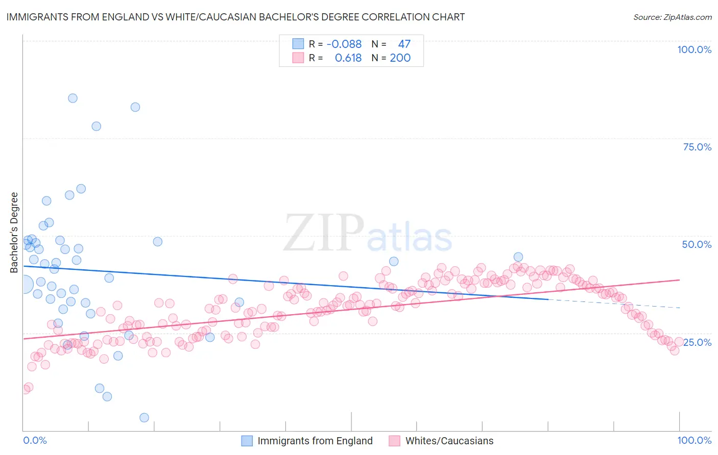 Immigrants from England vs White/Caucasian Bachelor's Degree