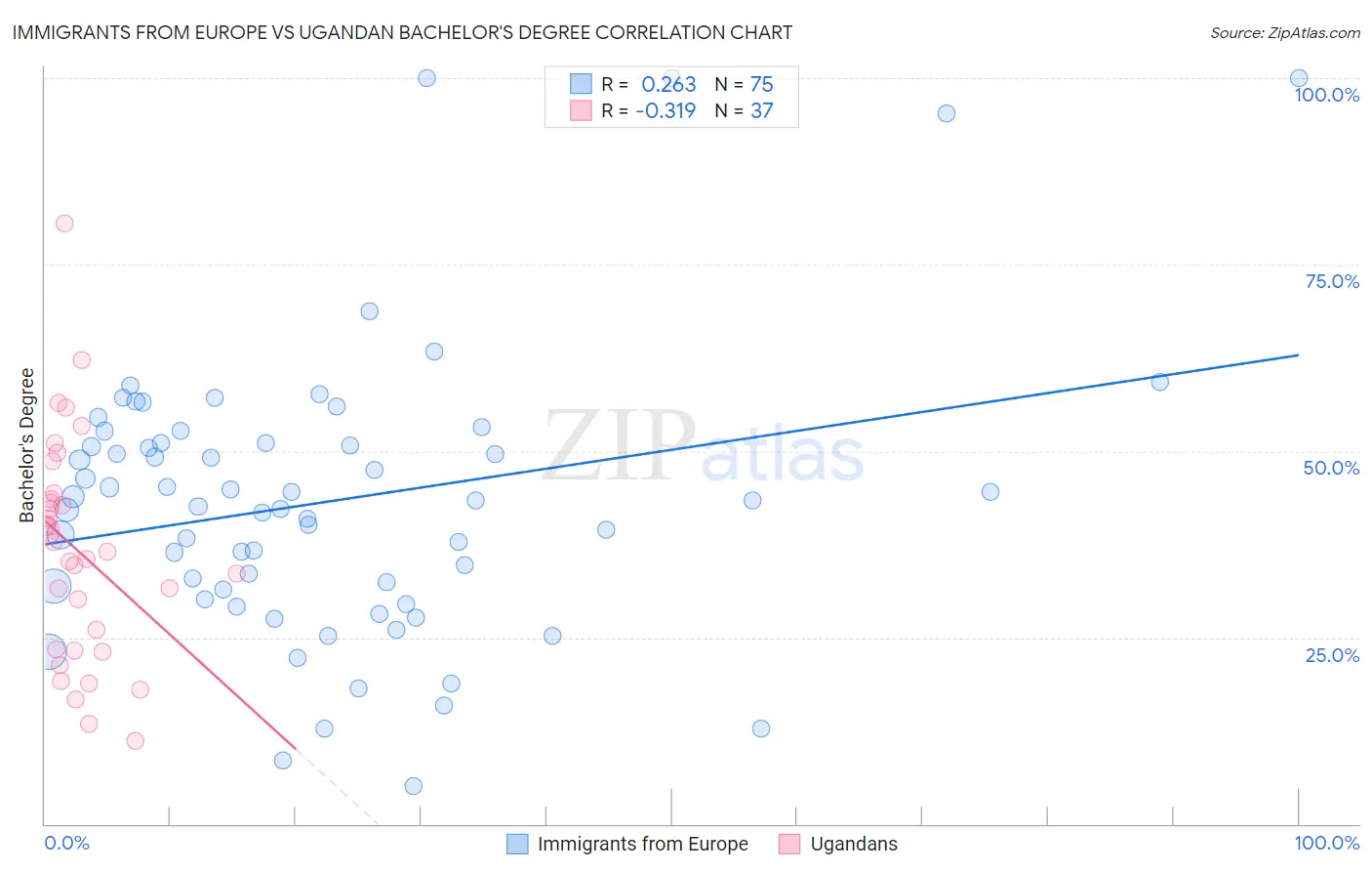 Immigrants from Europe vs Ugandan Bachelor's Degree