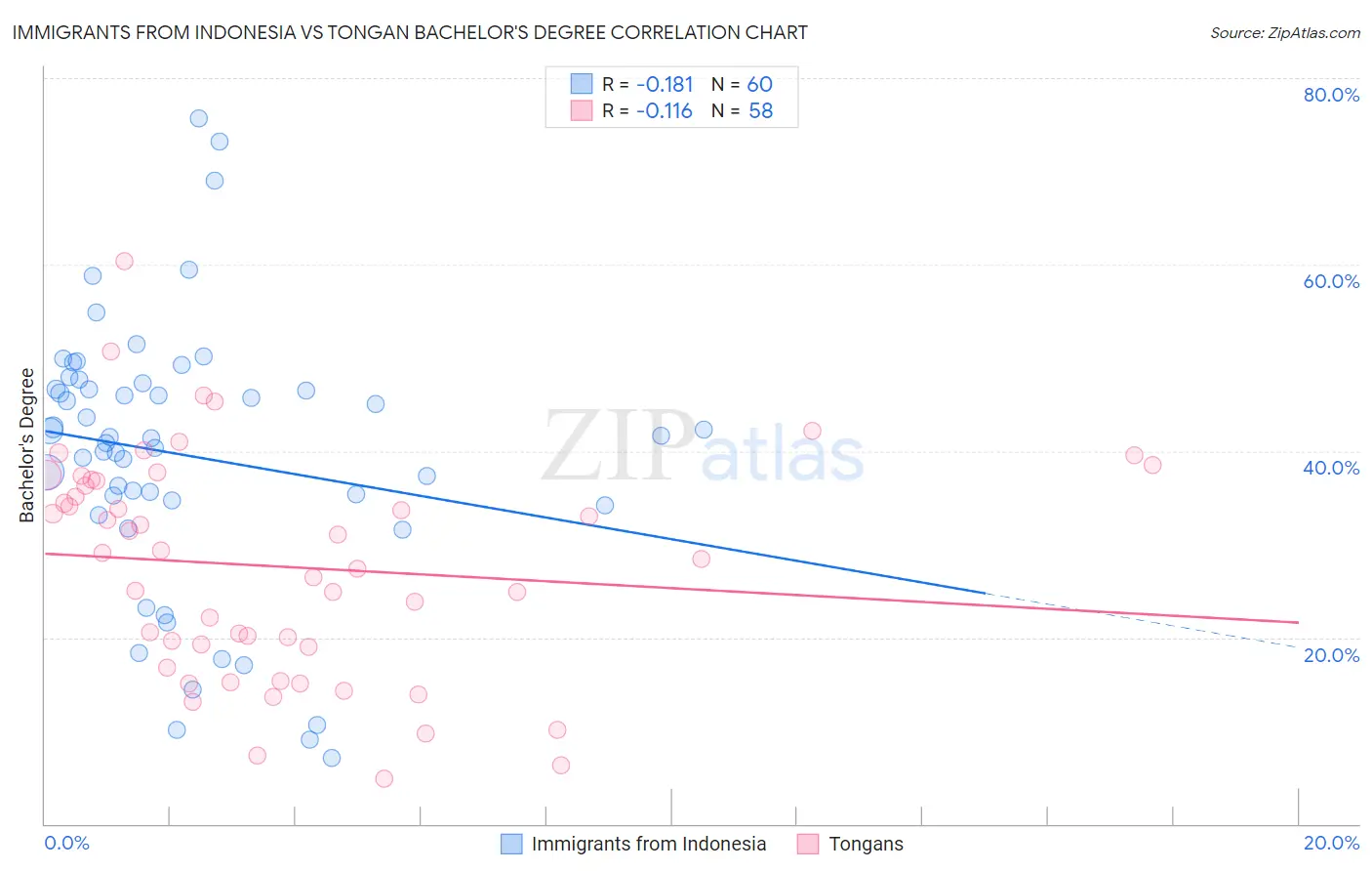 Immigrants from Indonesia vs Tongan Bachelor's Degree