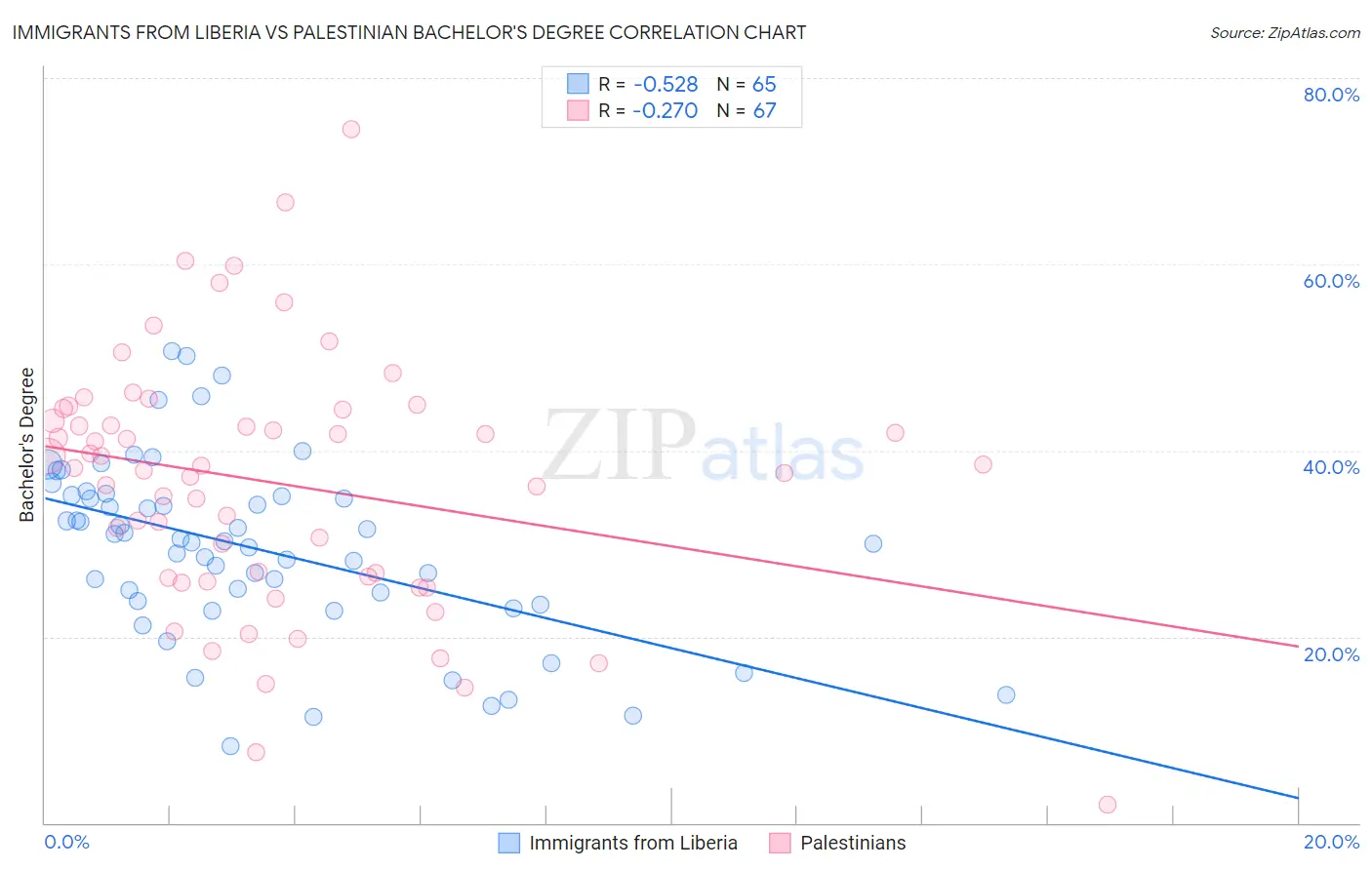 Immigrants from Liberia vs Palestinian Bachelor's Degree