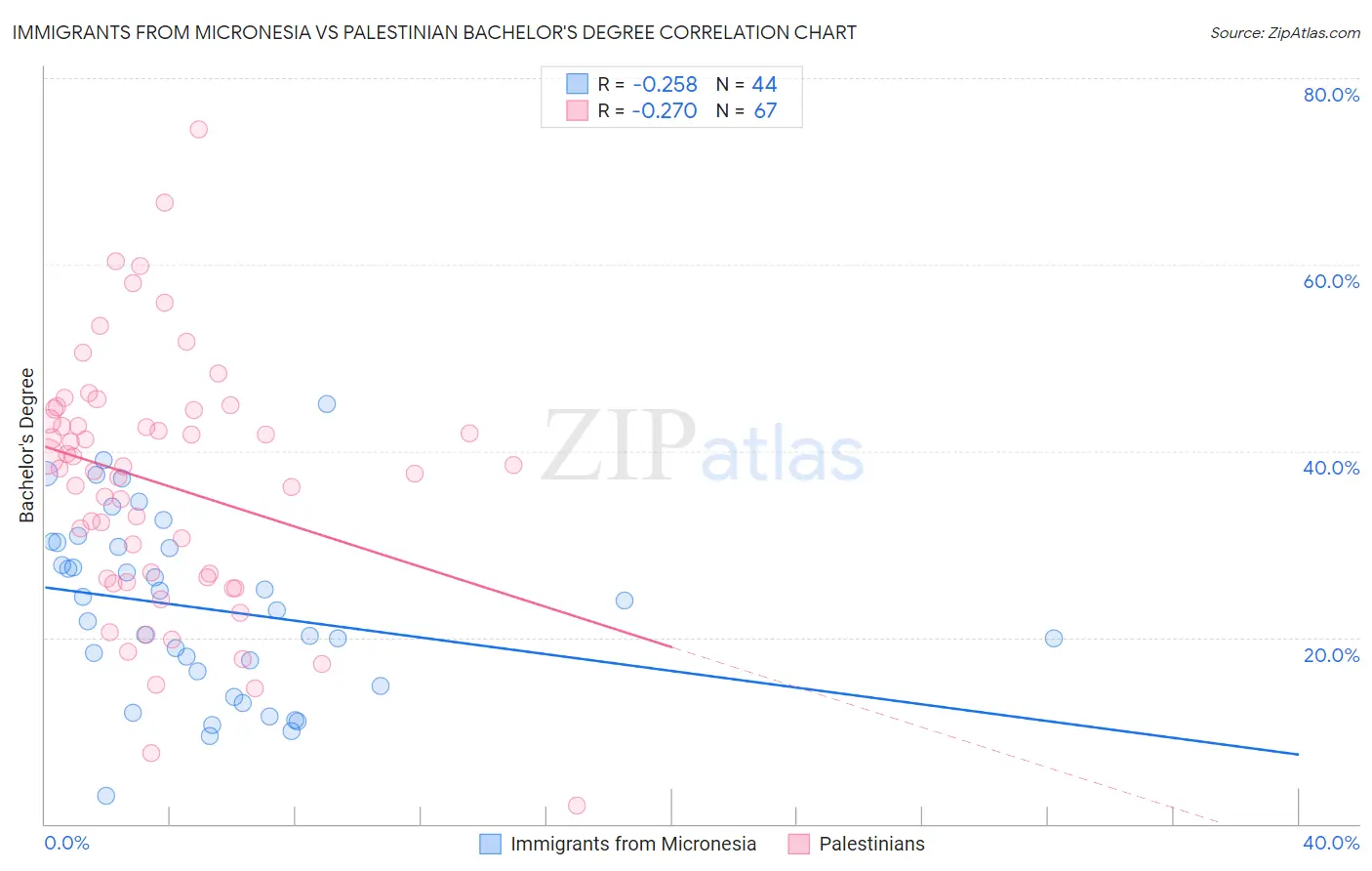 Immigrants from Micronesia vs Palestinian Bachelor's Degree