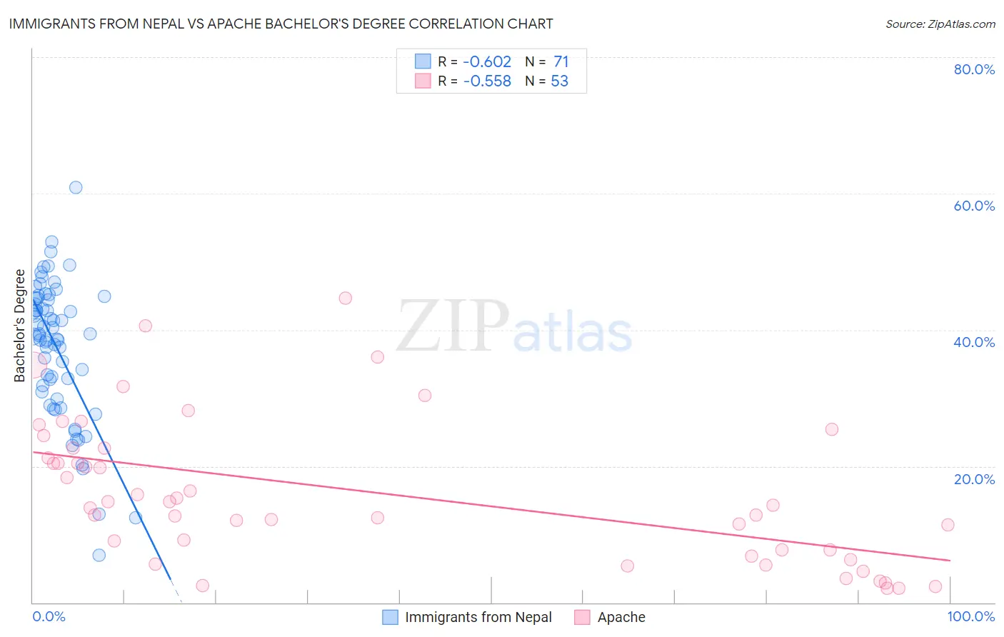 Immigrants from Nepal vs Apache Bachelor's Degree